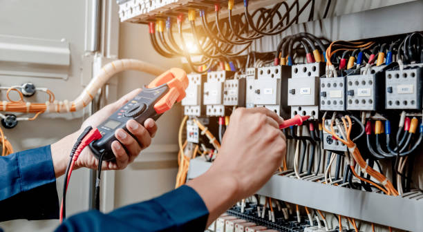 Best Local Electrician Companies  in Douglas, AL