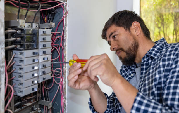 Best Home Electrical Repair  in Douglas, AL
